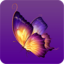 蝴蝶视频app无限观看