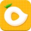 芒果视频app下载安装