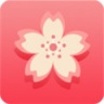 樱花app视频污免费版
