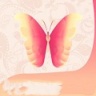 蝴蝶直播app最新版