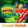 有趣的森林比赛 V1.2 安卓版