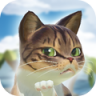 猫星人之岛2021 V1.0.8 安卓版