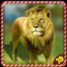 野生狮子愤怒报复 V1.5 安卓版