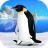 治愈的企鹅育成 V1.0 安卓版