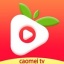 草莓视频app深夜释放自己第二季