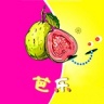 芭乐小猪幸福宝丝瓜草莓iOS版