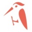 啄木鸟电竞 V1.0.0 安卓版