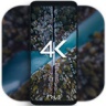 4K Wallpapers V1.7.2 安卓版