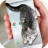 猫咪桌宠 V5.2.6 安卓版