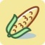 玉米视频app