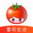 番茄生活 V1.3.8 安卓版