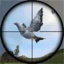 鸽子狩猎 V1.0.1 安卓版