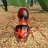 火蚁生存模拟器 V1.0.0 安卓版