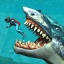 鲸鲨攻击模拟器 V1.4 安卓版