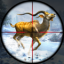 鹿狩猎现场 V1.0 安卓版