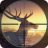 野生动物鹿射击 V1.11 安卓版