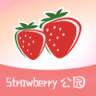 草莓公园 V1.0.0 安卓版