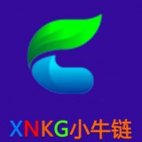 XNKG V1.32.2 安卓版
