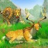 丛林狩猎动物 V3.9 安卓版