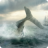 追逐鲸鱼 V1.0.2 安卓版