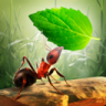 小蚂蚁部落 V3.2.5 安卓版