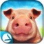 小猪模拟器2宰猪 V1.1.5 安卓版