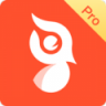 啄木鸟Pro(运动测评) 1.1 安卓版