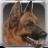 我的狗狗模拟器 V1.0.1 安卓版