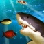 饥饿鲨鱼2021 V1.0 安卓版