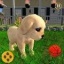 可爱的虚拟小狗 V0.4 安卓版