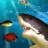 饥饿鲨鱼 V1.0 安卓版