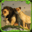 狮子模拟器游戏 V1.1 安卓版