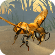 蜜蜂大作战手游 V5.0 安卓版