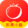 红果小说免费阅读器 V7.4 安卓版