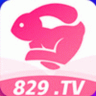 TV V829TV2.1.0 安卓版