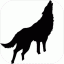 森林之狼 V1.0 安卓版