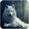 森林荒原狼模拟器 V1.0.2 安卓版