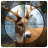 鹿猎人 V2021 安卓版