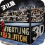 摔跤革命D无限金币汉化破解版最新版 V3D1.702 安卓版