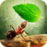小蚂蚁部落游戏 V3.2.5 安卓版