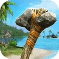 海岛生存游戏 V1.0 安卓版