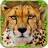 D猎豹模拟器游戏 V3D1.2 安卓版