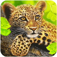 豹子模拟器游戏 V1.0.6 安卓版