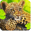 豹子模拟器游戏 V1.0.6 安卓版