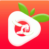 草莓樱桃丝瓜绿巨人秋葵 V2.52 最新版