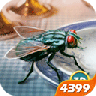 苍蝇模拟器游戏 V1.2.6