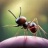 蚂蚁帝国io虫子大军游戏下载 V0.1.5官方版