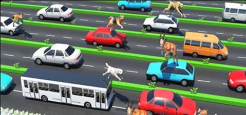 公路上的动物 v1.0