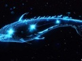 妄想山海亿年异兽星藏鲸鱼位置介绍