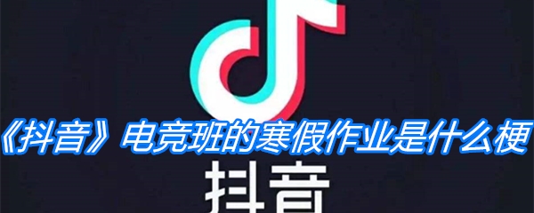 《抖音》电竞班的寒假作业是什么梗